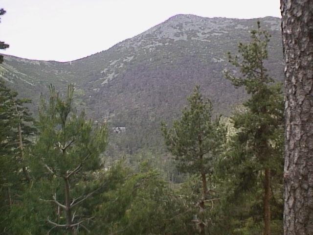 monton.jpg (52211 bytes)